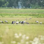 5 Sterne Seezeit Апартаменты
